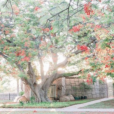 Tshukudiba Game Lodge Tom Burke 外观 照片