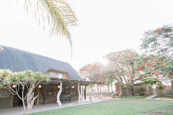 Tshukudiba Game Lodge Tom Burke 外观 照片