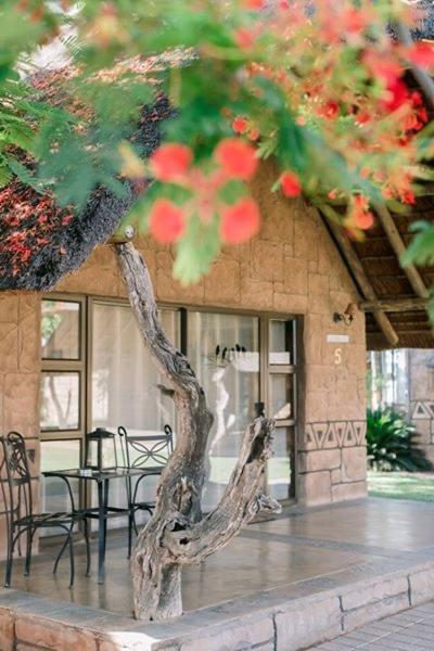 Tshukudiba Game Lodge Tom Burke 外观 照片